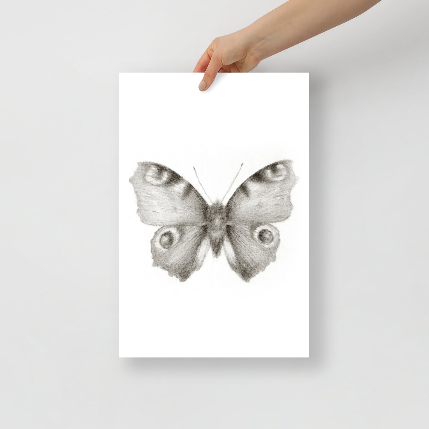 Butterfly Vignette
