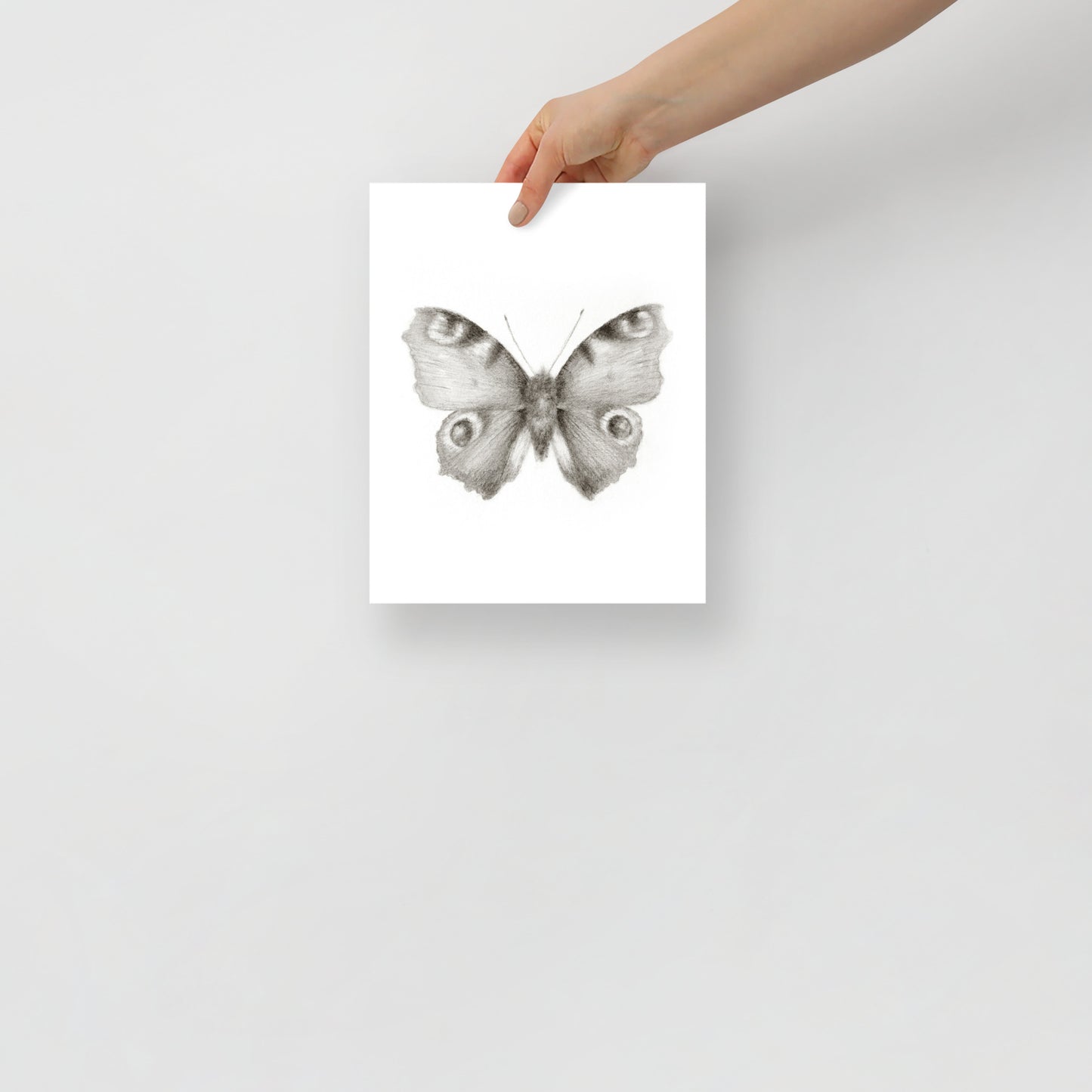Butterfly Vignette